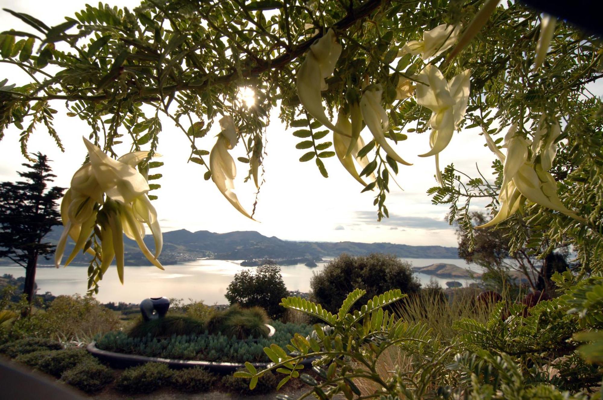 Larnach Lodge&Stable Stay Dunedin Exterior foto